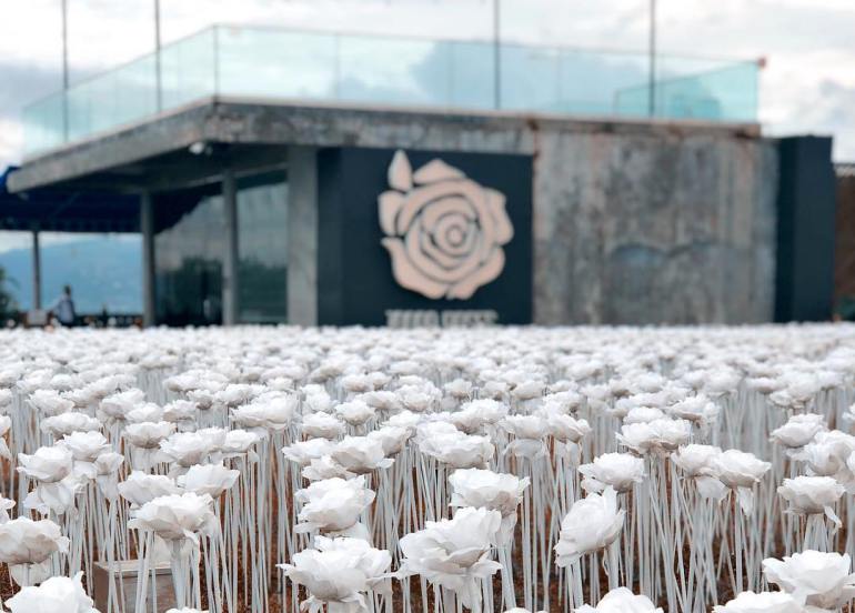 10k roses cebu, 10,000 roses cafe, cebu restaurant, what to do in cebu