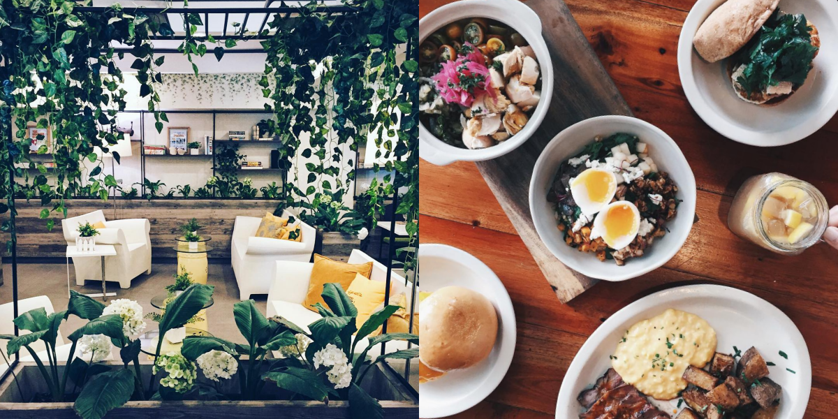 14 Deliciously Healthy Restaurants to Help You Start Your Diet Booky