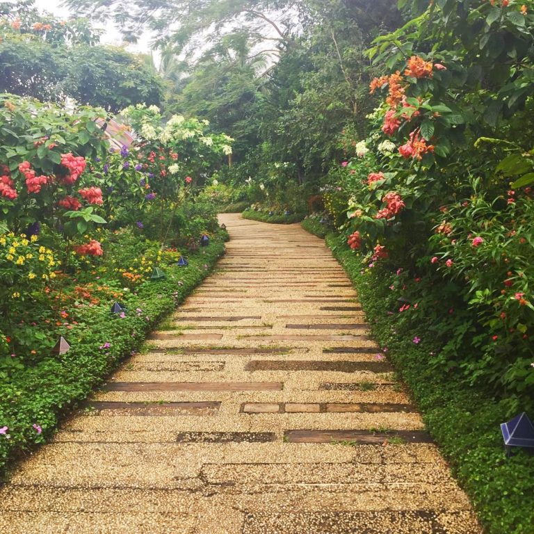 12 PetFriendly Places in Tagaytay for you and your furry friend! Booky