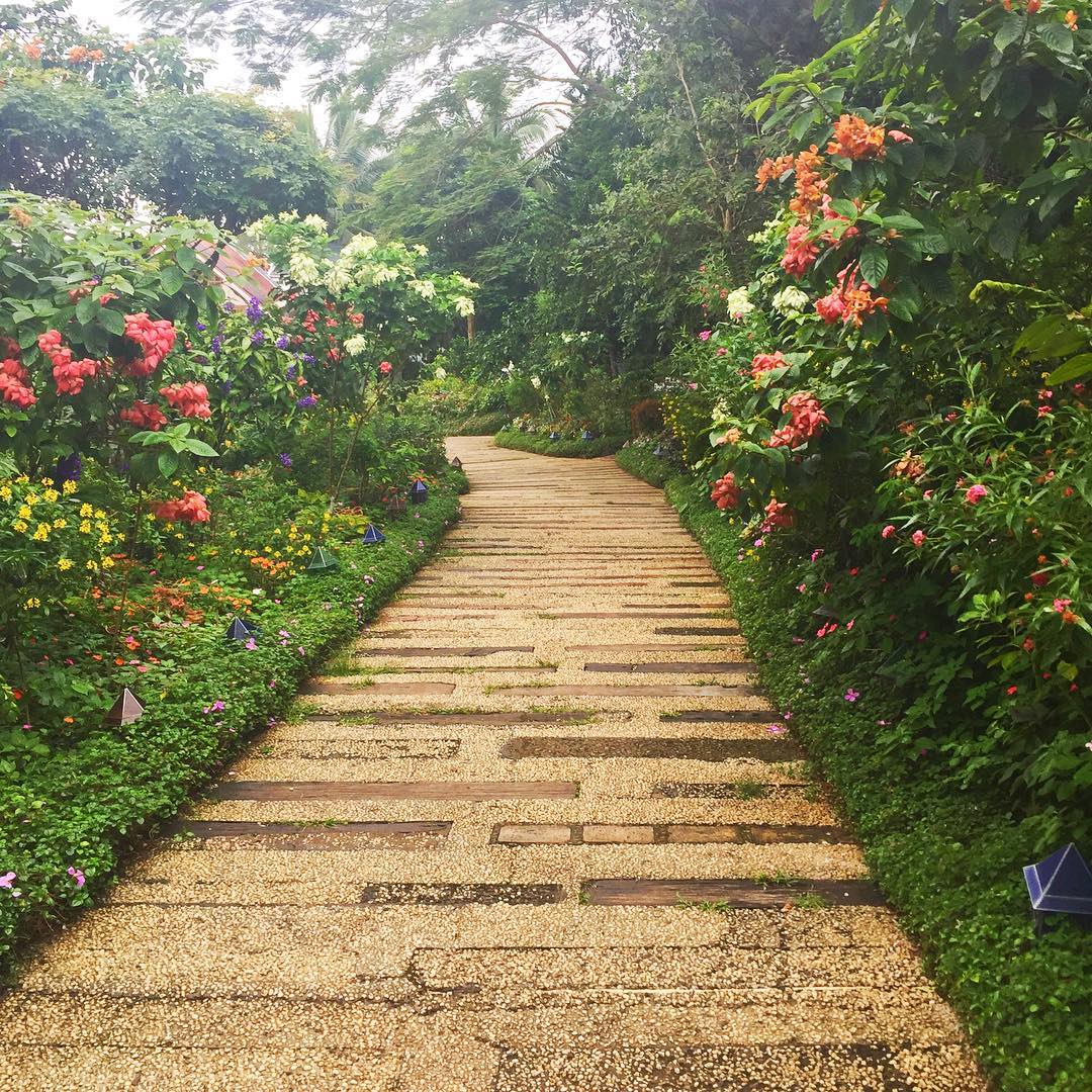 12 PetFriendly Places in Tagaytay for you and your furry friend! Booky