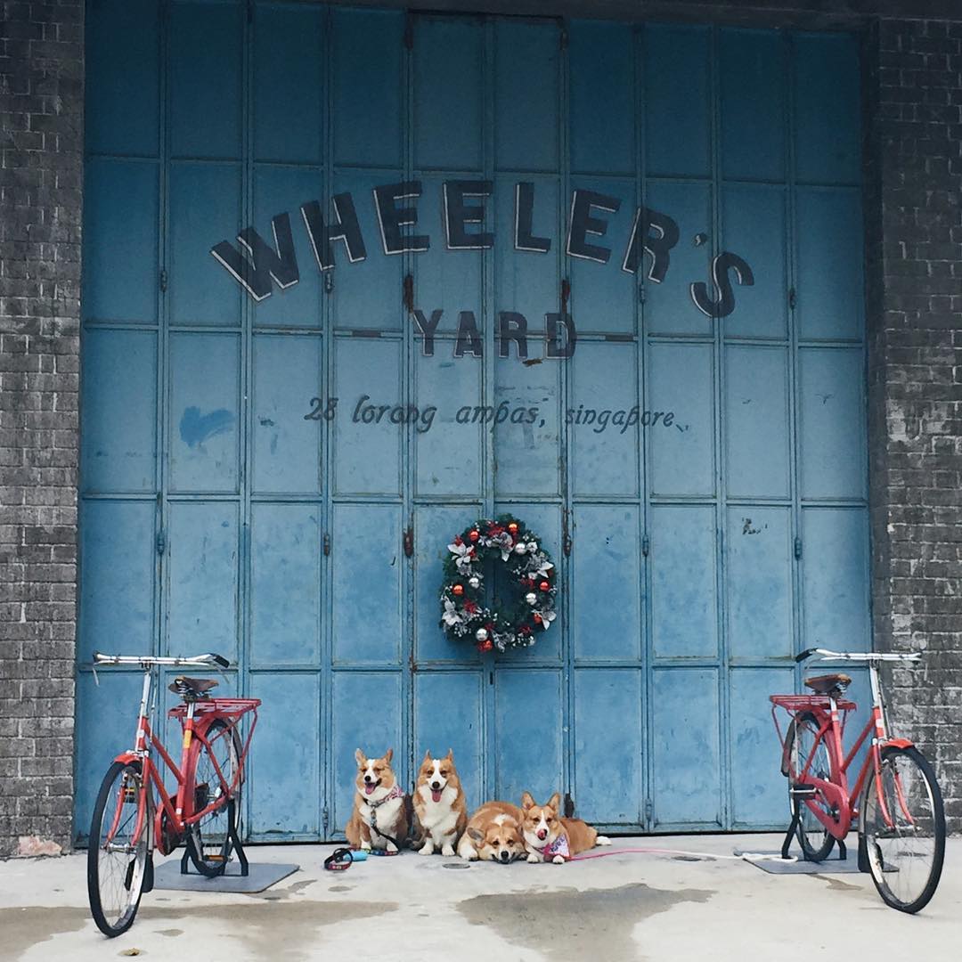 Wheeler’s Yard