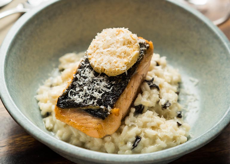 Salmon on Risotto from Refinery