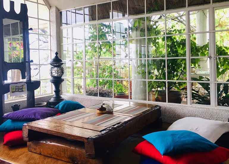 Arca's Yard Interiors or Dining Area