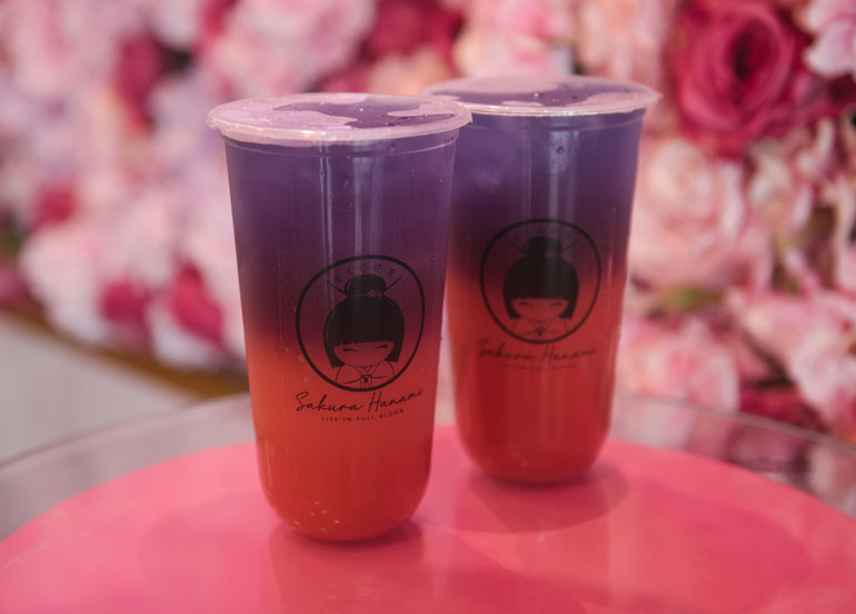 Sakura Hanami, milk tea