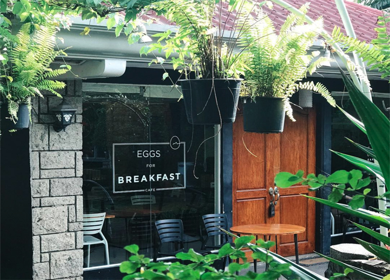 Eggs for Breakfast Exterior with hanging plants and potted plants