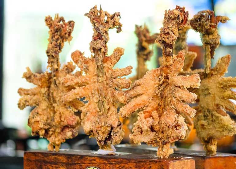 Butterfly Squid from Above Sea Level