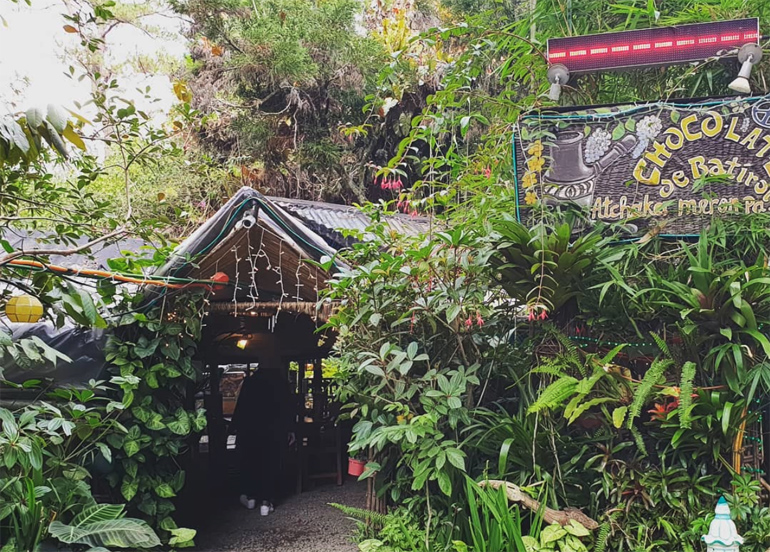 Choco-late De Batirol Exterior covered in lush greenery