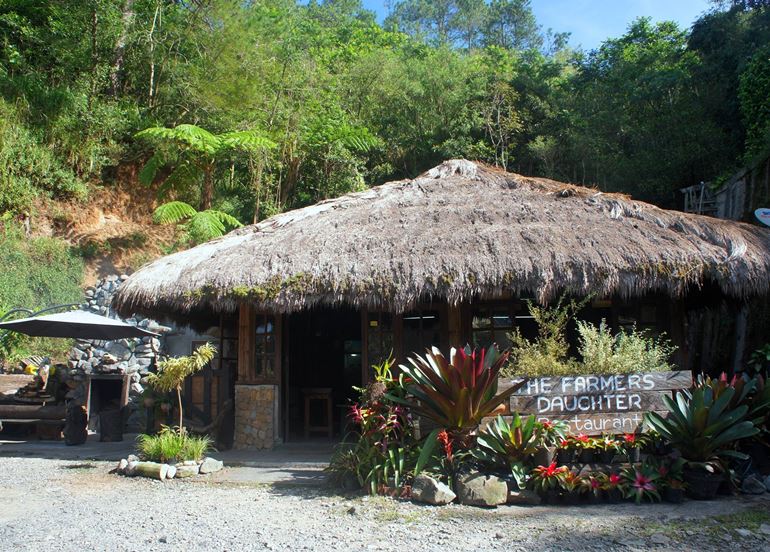 The Farmers Daughter exterior nipa hut