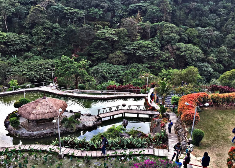 the view from cafe sabel featuring lush greenery, a duck pond, and nipa hut