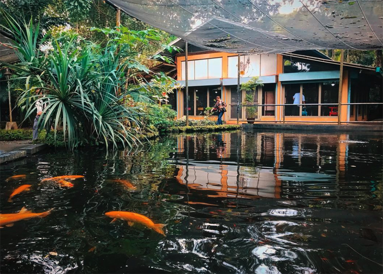 Crescent Moon Cafe Pond