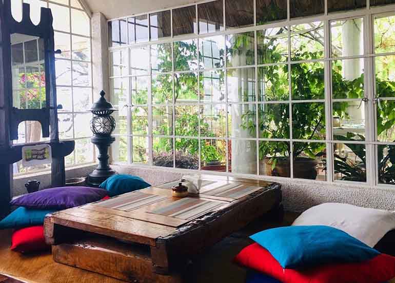 Arca's Yard Dining Area